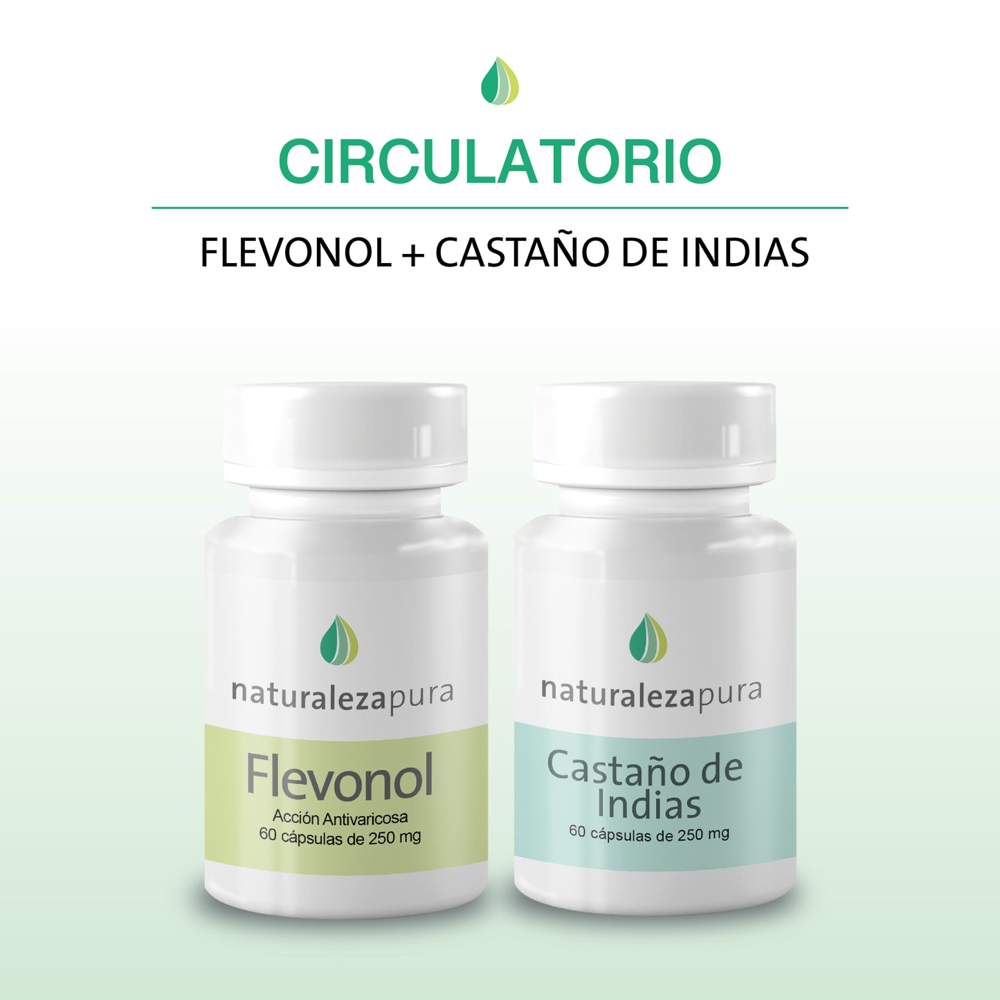 Circulatorio
