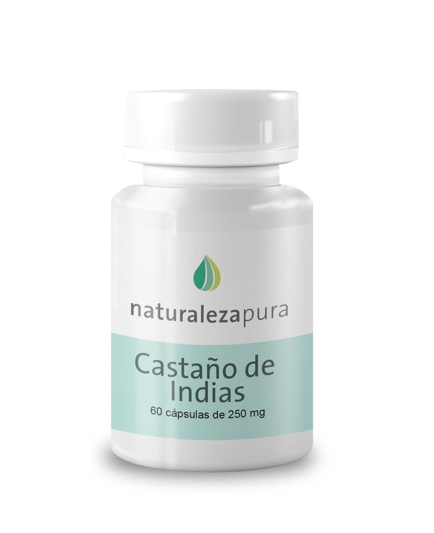 Castaño de Indias