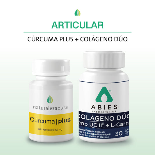 Articular