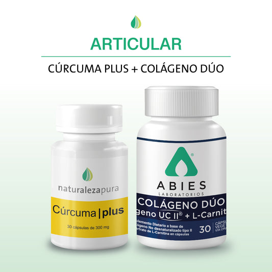 Articular