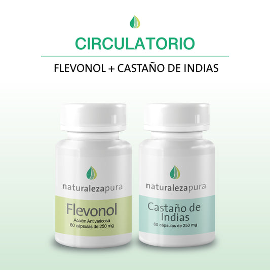 Circulatorio