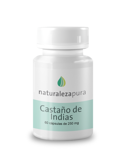 Castaño de Indias