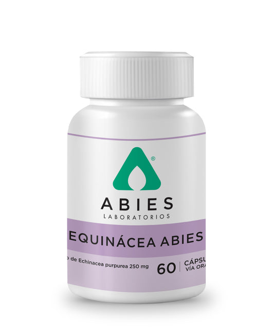 Equinácea
